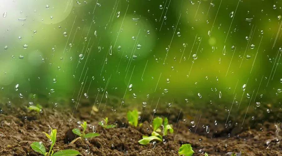 大暑出生的孩子小名叫什么 孩子小名叫满满好不好