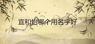 ​宜和怡哪个用名字好
