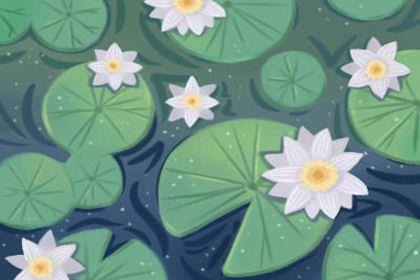 五行属水最吉利的字男孩 属水单字和名字 五行属水最吉利的字男孩 属水单字和名字