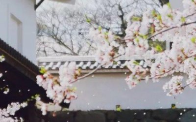 ​最新的姓罗的男孩名字大全(带解释)  高分有涵义