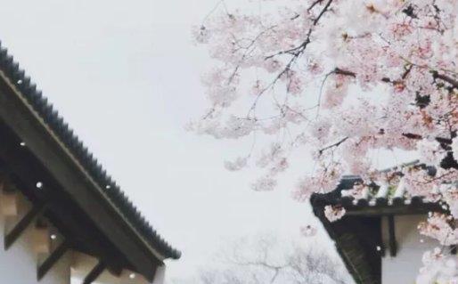 最新的姓罗的男孩名字大全(带解释) &nbsp;高分有涵义