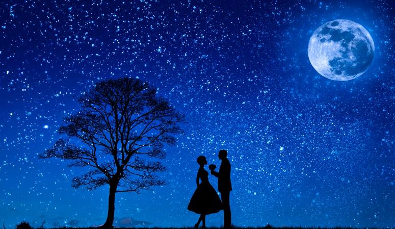 芷字女孩取名含义是什么？吉利的芷字女孩名字参考分享