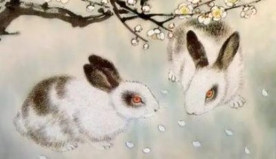 ​兔宝宝取名宜用字和忌用字 兔宝宝取名禁忌有哪些