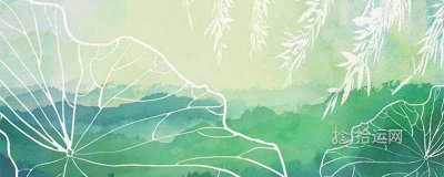 ​女孩名缺木简单好听取名推荐 五行属木的优雅女孩名字