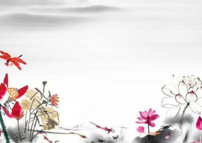 ​辰时出生五行缺土的女孩取名，可运用以下属土的字