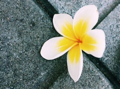 女生取名字九画的字有哪些,这些美好的字一定