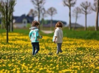 楚辞诗经当中有出处的双胞胎名字