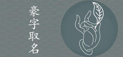 豪字取名的寓意是什么 后面带豪字的男孩名字
