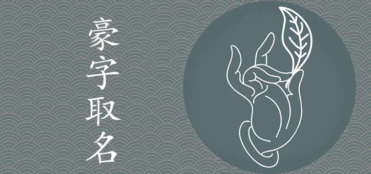 豪字取名的寓意是什么 豪字取名的寓意是什么 后面带豪字的男孩名字