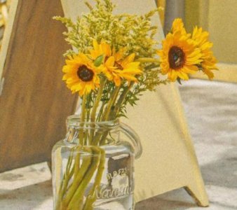 ​早安最短精句大全·精选