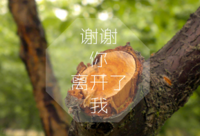 ​安静的网名94个