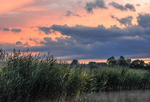 1688094635162660.png image.png