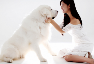 ​带有特殊符号的经典网名(252个)