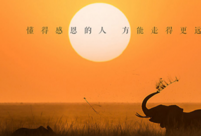 ​寓意深远的属猪宝宝起名常用字大全