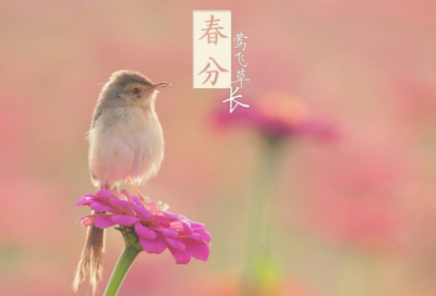 ​男婴儿取名大全常用字大全名字大全