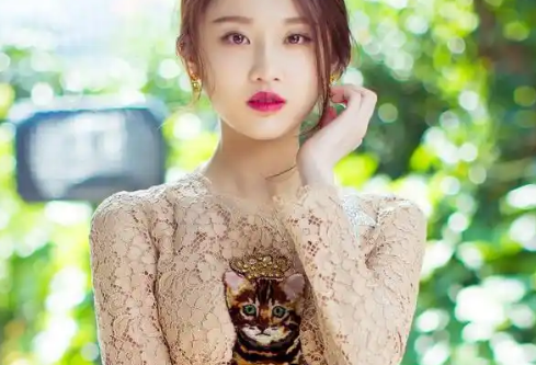 1774092554822347.png image.png